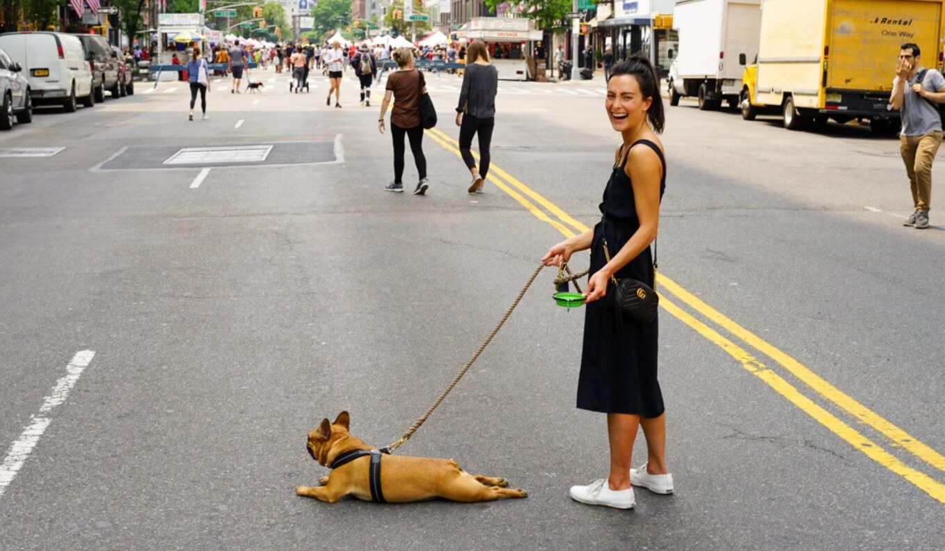 tractive dog walk app