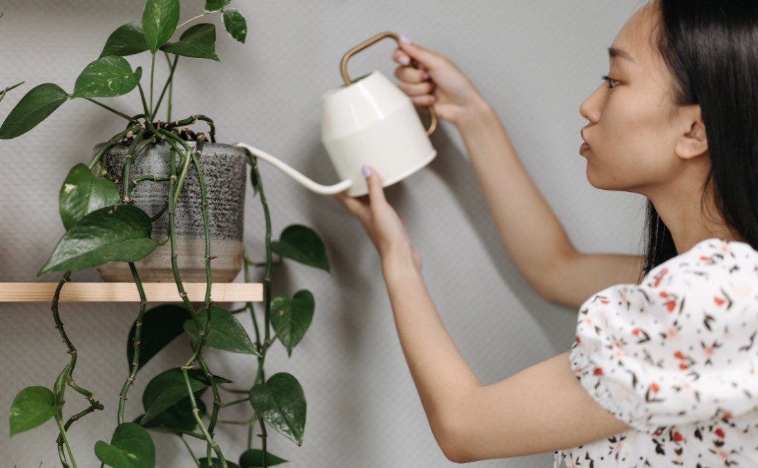 17 Best Plant Care Apps for Android and iOS in 2023